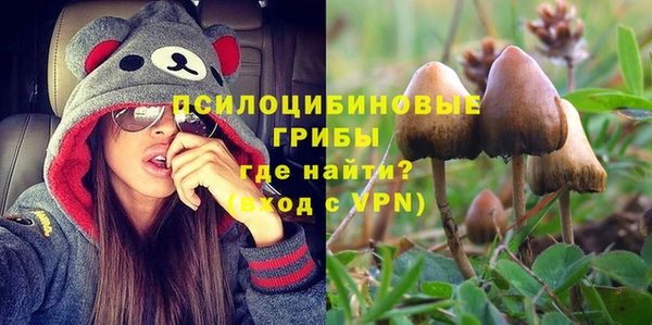 прущая мука Краснослободск