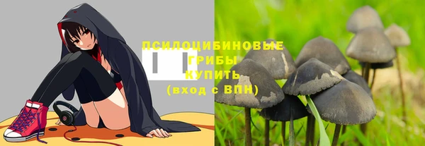 гидра Куйбышев