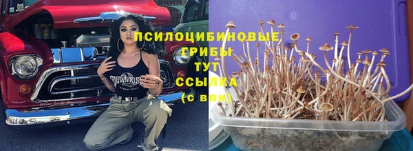 гидра Куйбышев